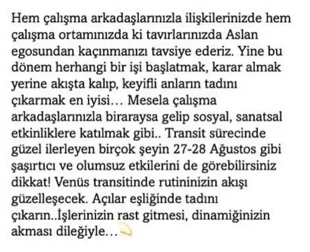 as1 (36).webp