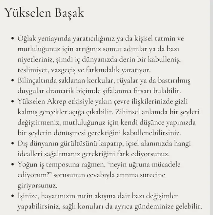 as1 (7).webp