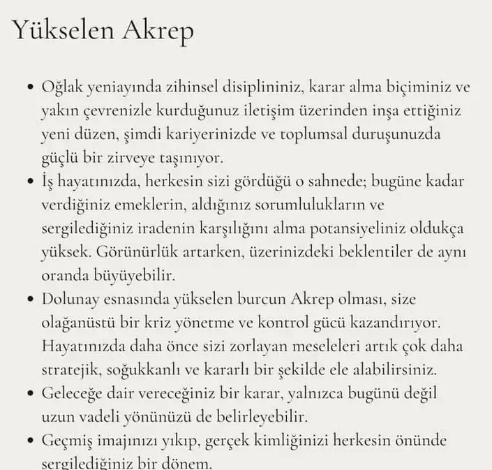 as1 (9).webp