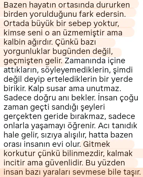 as10 (12) - Kopya.webp