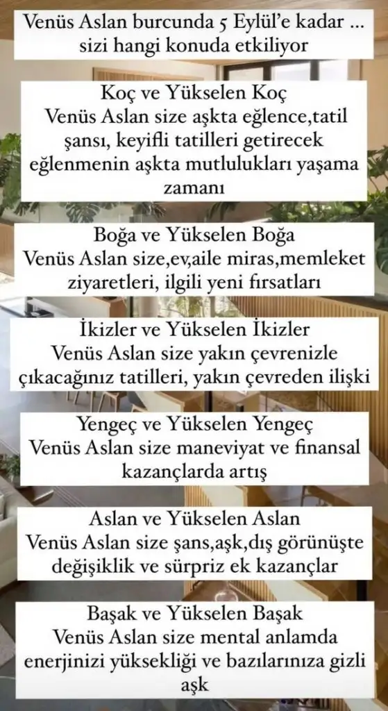 as12 (1).webp