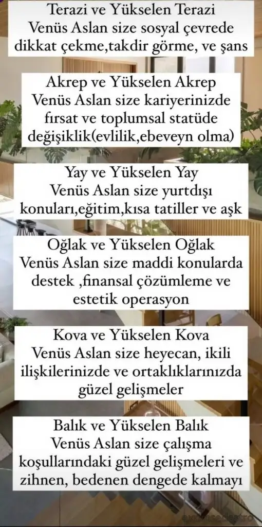 as12 (2).webp
