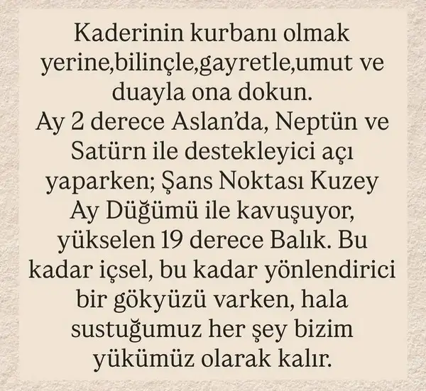 as12 (3).webp