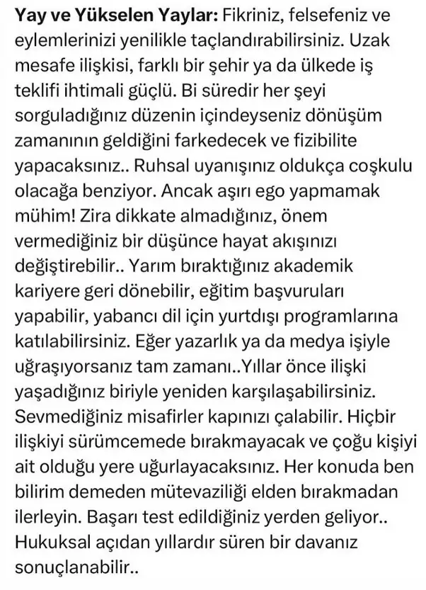 as14 (10).webp
