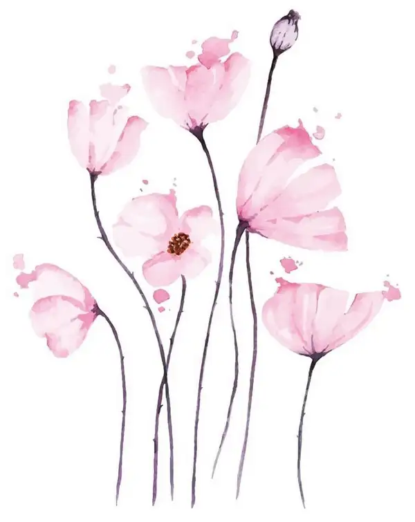 as19 (1).webp
