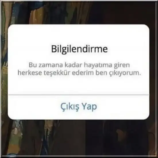 as2 (13).webp