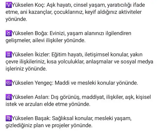 as2 (2) - Kopya.webp
