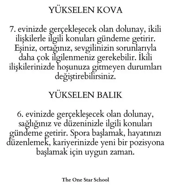 as2 (7).webp