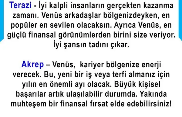 as3 (4).webp