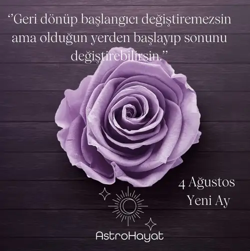 as33.webp