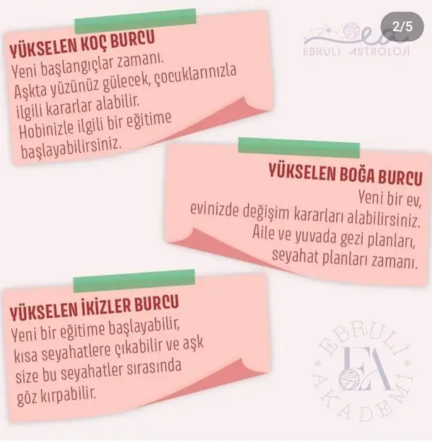 as6 (2).webp