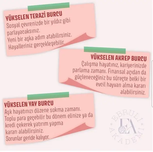 as6 (4).webp
