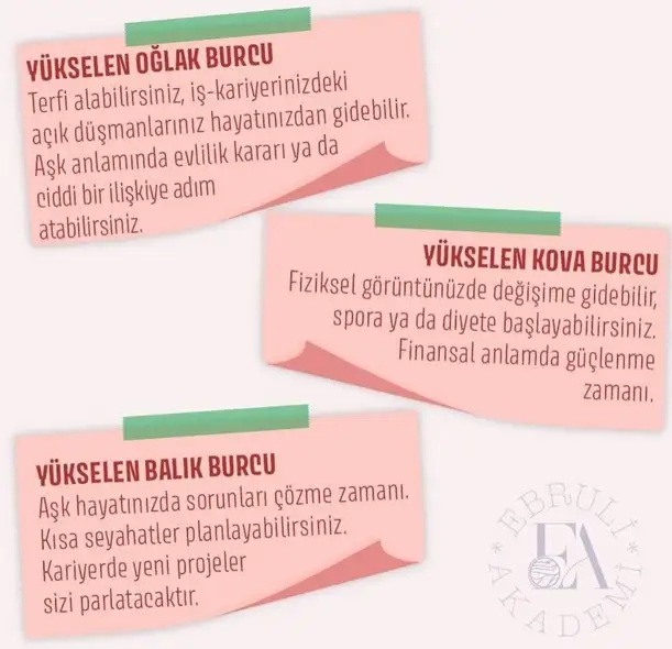 as6 (5).webp