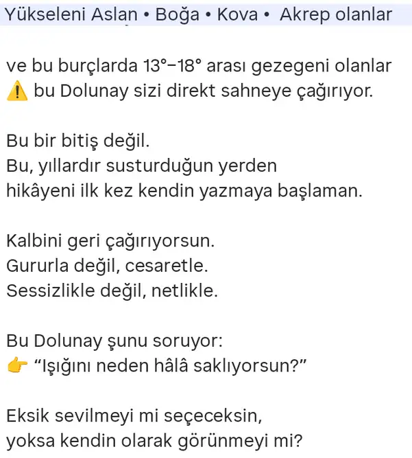 as66 (2).webp
