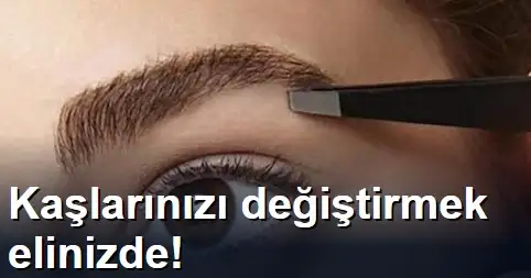 asd.webp