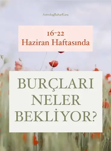asd.webp