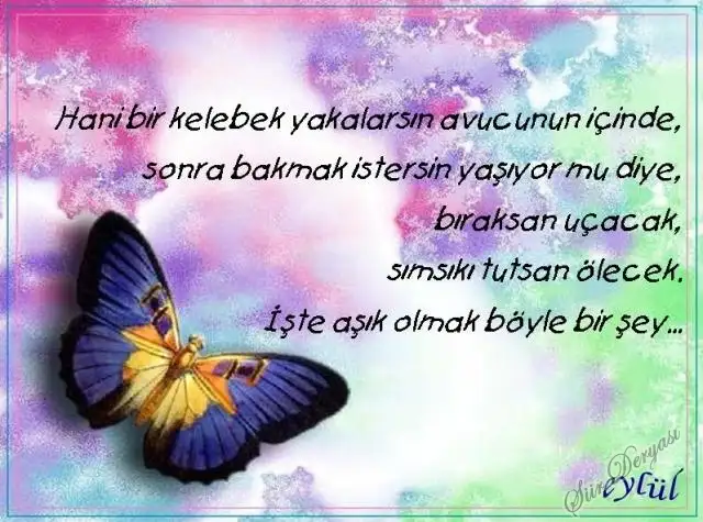 aşk ikilemi.webp