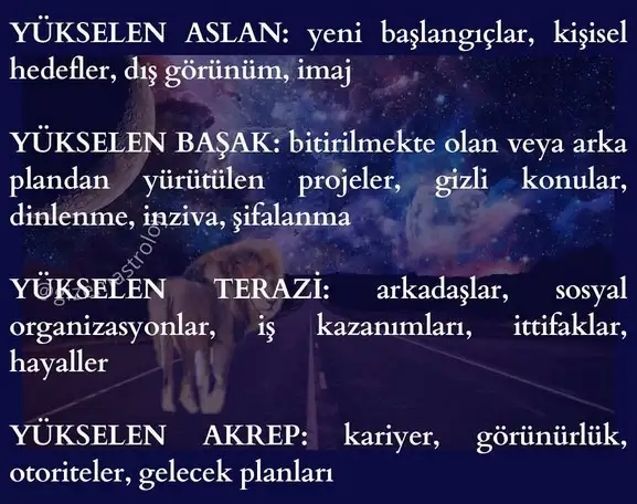 asl3 (5).webp