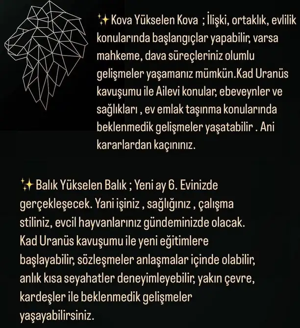 asl66 (10).webp
