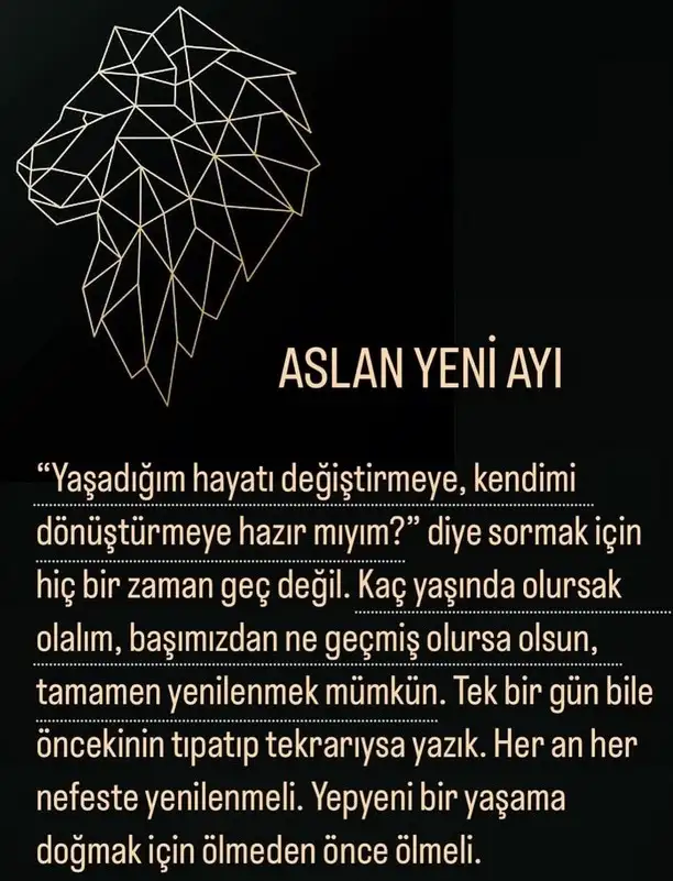 asl66 (2).webp