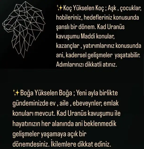 asl66 (5).webp