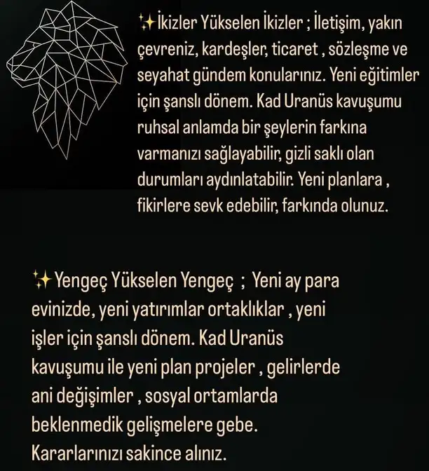asl66 (6).webp