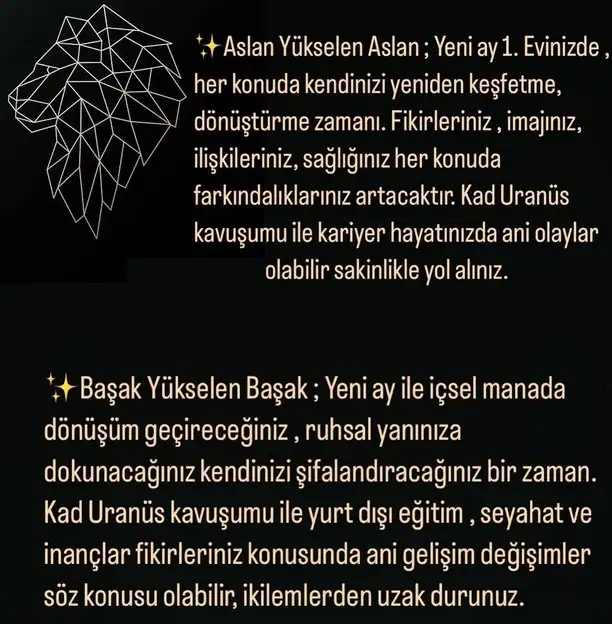 asl66 (7).webp