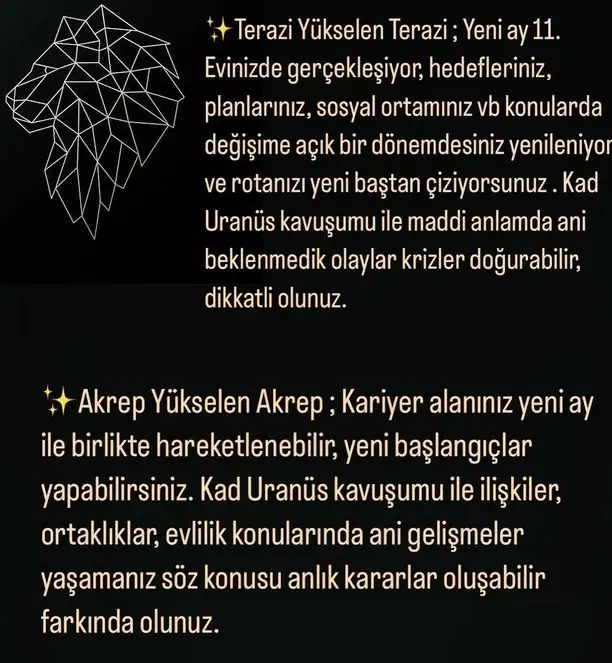 asl66 (8).webp