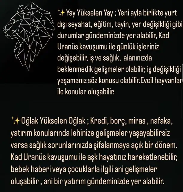 asl66 (9).webp