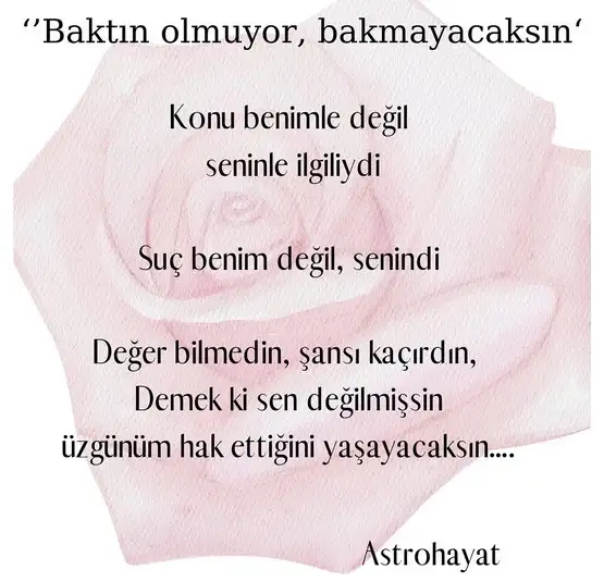 asl8 (1).webp