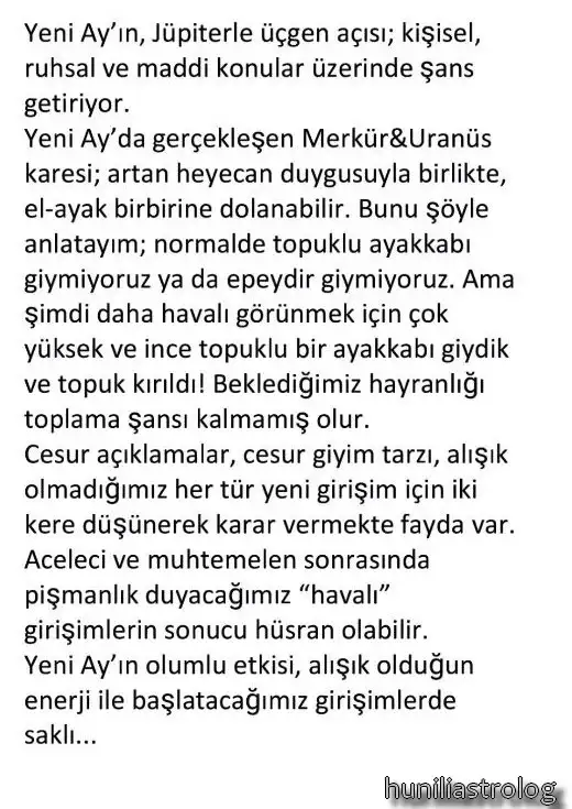 asl8 (2).webp