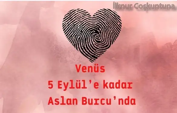 asl99 (1).webp