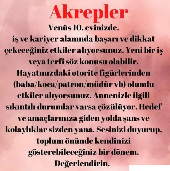 asl99 (10).webp