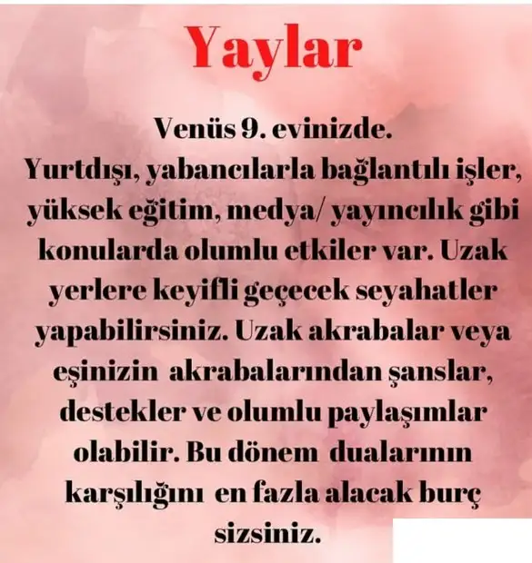 asl99 (11).webp