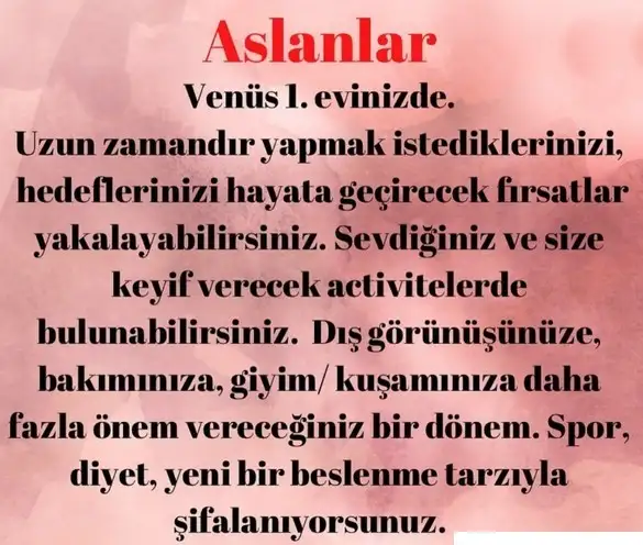 asl99 (6).webp