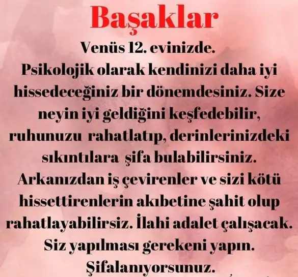 asl99 (7).webp