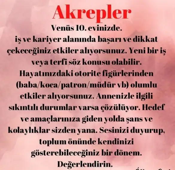 asl99 (9).webp