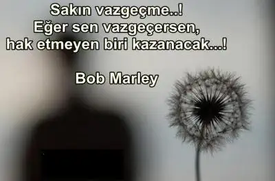 asla_bob marley.webp