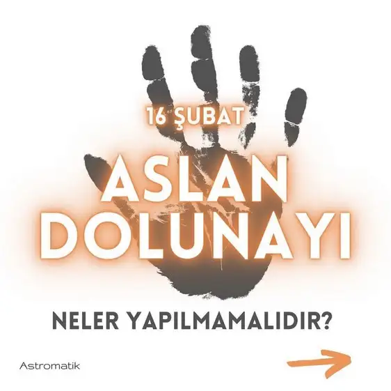 aslan 0 (1).webp