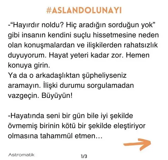 aslan 0 (2).webp