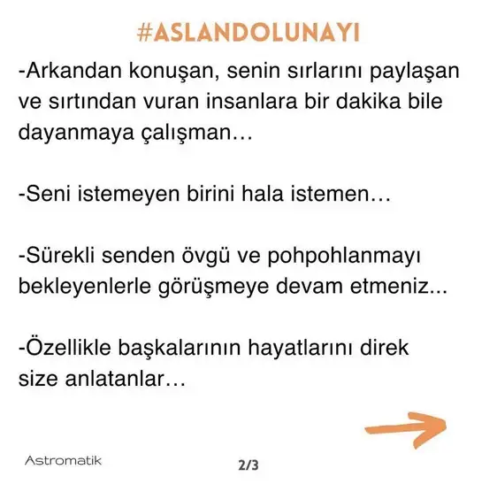 aslan 0 (3).webp