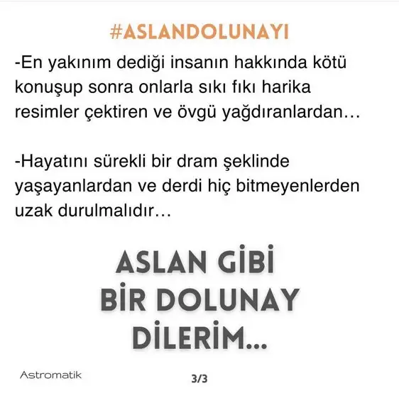 aslan 0 (4).webp