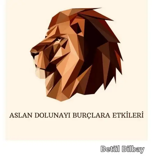 aslan 1 (1).webp