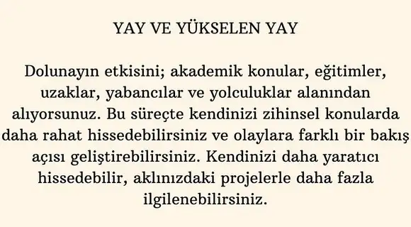 aslan 1 (10).webp