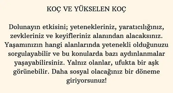 aslan 1 (2).webp