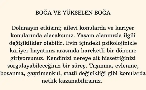 aslan 1 (3).webp