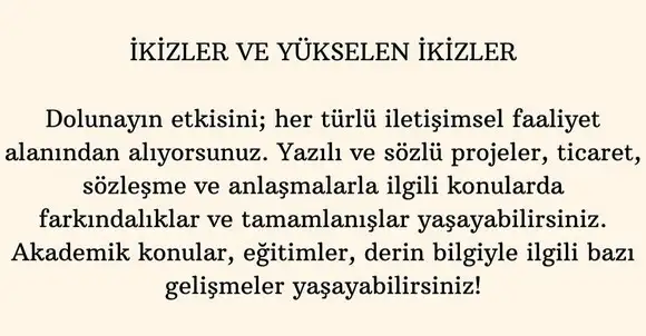 aslan 1 (4).webp