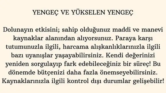 aslan 1 (5).webp