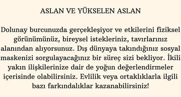 aslan 1 (6).webp