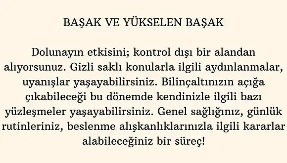aslan 1 (7).webp